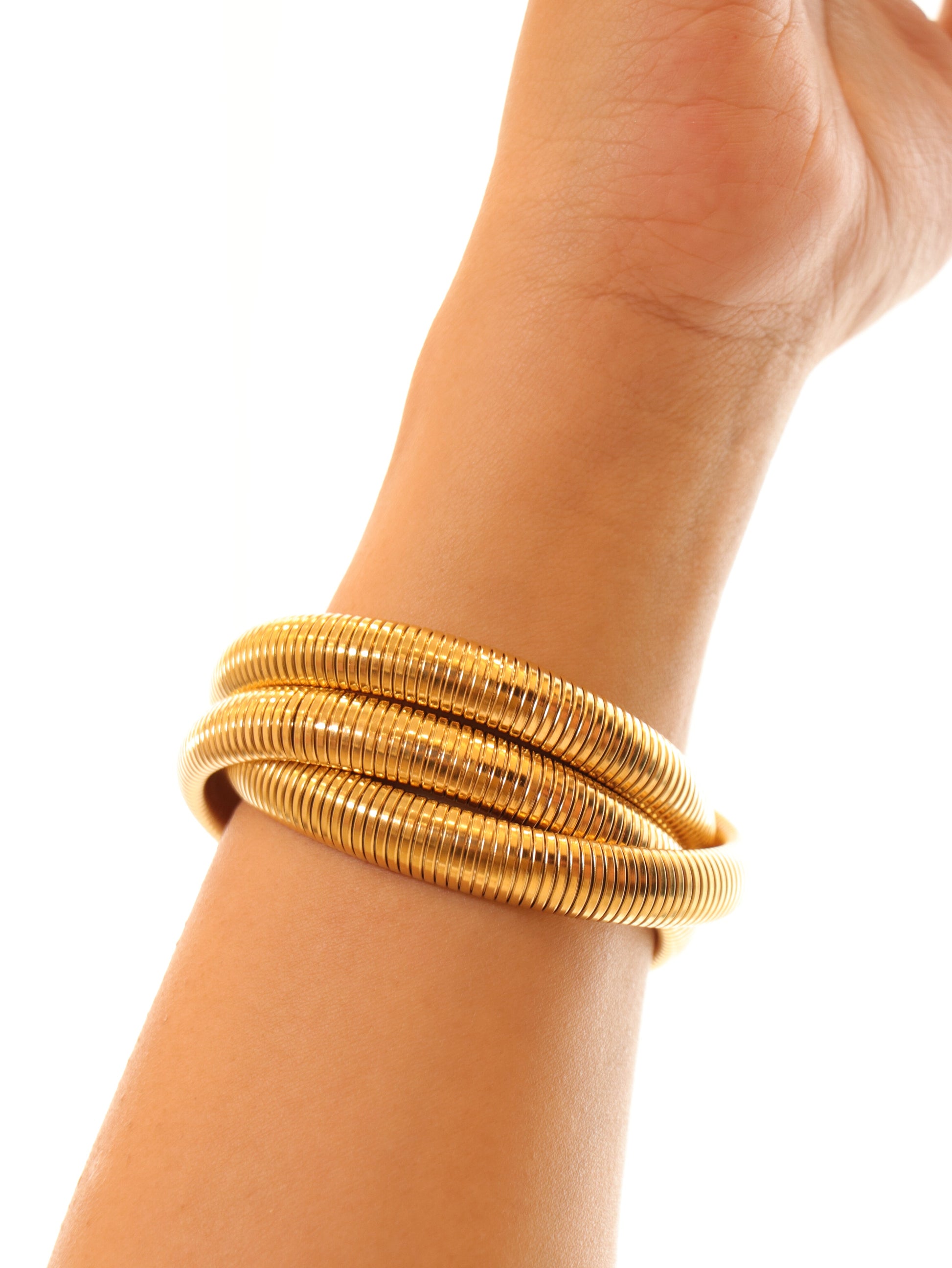 Gold Queen Cobra